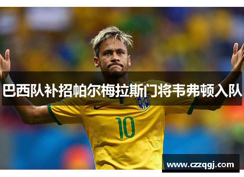巴西队补招帕尔梅拉斯门将韦弗顿入队